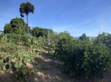 CHACARA · Chacara, Centro, Sengés, PR