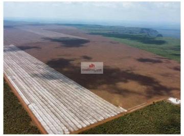 873bf968098b0416bee844b3ecf3ef02.jpg · Fazenda com 10.000 hectares, estruturada, com sede boa