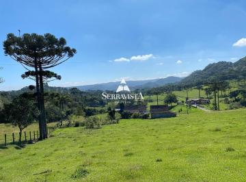23568905_4.jpg · Área com pastagem 26 hectares - São Bento do Sul