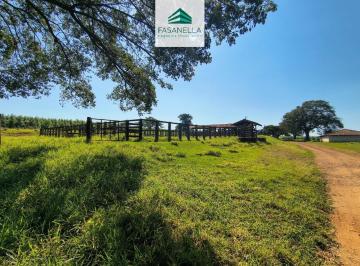 Foto 26 · Fazenda, Jd . Primavera, Araraquara, SP