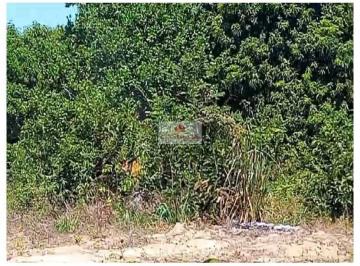 9872f87eb2aecef4347de1c20f580541.jpg · Sítio de 15000m2, plano, na localidade soturno, distante 3km da BR-343