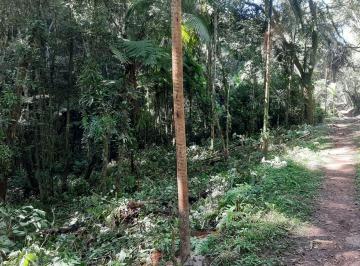 Terreno · 20000m² · Terreno em Carolinos   -  São Lourenço da Serra