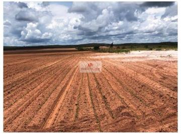 115f263e2edcc6264fdac3206448287a.jpg · Fazenda na região de Tocantins, com 2000 hectares, com 1000 hectares em lavoura