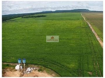 9f8908b017f327ba234622075893ea17.jpg · Fazenda na Região de Uruçuí, com 6251 hectares, casa sede, com 1900 hectares em plantio