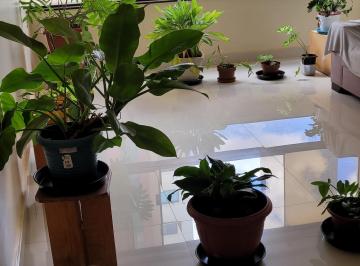 Apartamento de 4 quartos, Taguatinga · APARTAMENTO CSB 04 EDIFICIO NÍCIA - TAGUATINGA SUL - OPORTUNIDADE - AC.FINANC.
