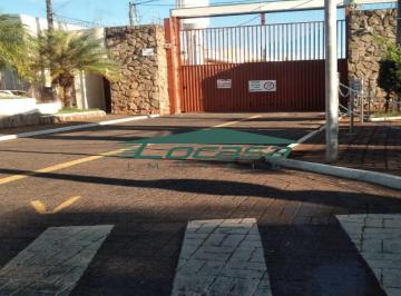 Foto 12 · Impecável Residência de Alto Padrão no Jardim Seyon, São José do Rio Preto-SP: 4 quartos, 4 suítes,