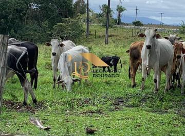 Foto 01 · Fazenda, Canavieiras, Canavieiras, BA