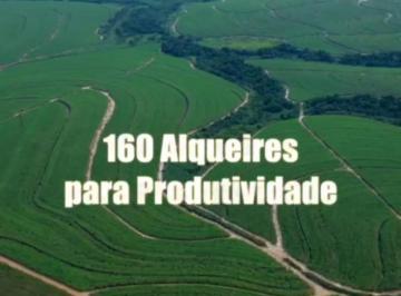 Foto 01 · Fazenda à venda em Porto Feliz-SP na Zona Rural: 1 quarto, 1 banheiro, 3.872.000,00 m² de área