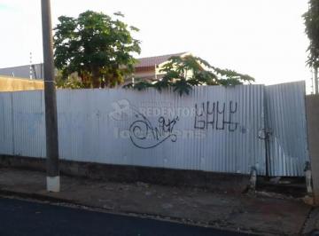 Terreno · 427m² · Boa Vista - Terreno com 427 m², fácil acesso, murado nos lados e fundos