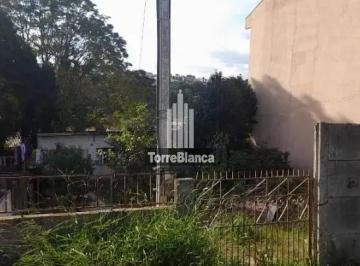 whatsapp-image-2024-05-19-at-19-31-591716162814875_cleanup1742998389573.jpeg · Terreno à venda, Uvaranas,