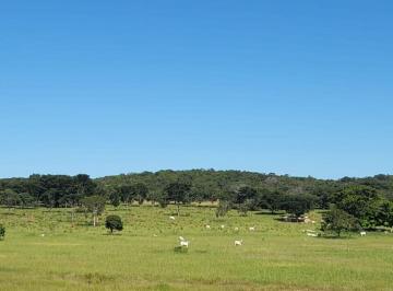 Rural , Santana de Pirapama · Fazenda de 813 ha em Santana de Pirapama/MG