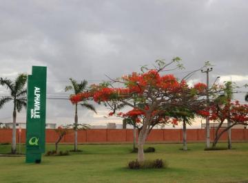 Foto 01 · Terreno, Pium (distrito Litoral), Parnamirim, RN