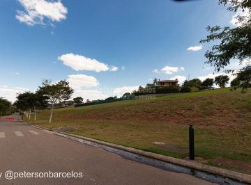 img_6069-17169048468827.jpg · Lote Fazenda Dona Carolina