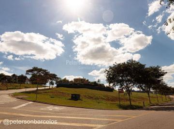 img_6057-1716903813513.jpg · Lote Fazenda Dona Carolina