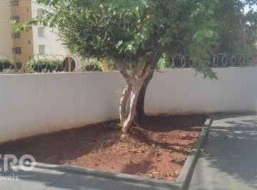 2ac29f0169e0ea28616f598dcaa01af04df2a362 · Casa com 3 dormitórios para alugar, 151 m² por R$ 3.985,00/mês - Jardim Planalto - Bauru/SP