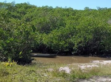 Terreno , Porto Seguro · Área a 10 min do centro de Arraial D'Ajuda, Porto Seguro, Bahia.