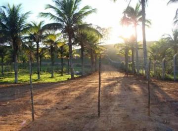 Foto 01 · Sitio, Cantagalo, Rio das Ostras, RJ