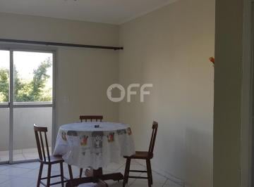 0 · Apartamento para alugar - Jardim Aurélia, Campinas SP