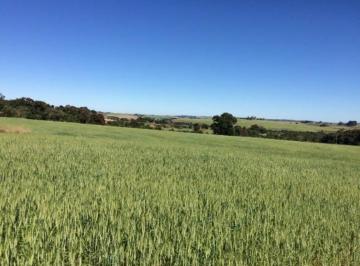 Foto 01 · Oportunidade única: Sitio à venda em Itapetininga-SP, bairro Área Rural, 1 quarto, 1 banheiro, 895.4