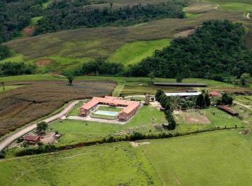 Foto 01 · Fazenda 50 Alqueires,  Formada em Lavoura e Pasto, - 31 Alqueires em Plantio, - Topografia Ondulada 