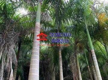 Rural · 63000m² · Sítio 63.000m² Palmeiras Estância climática de Morungaba/SP/BR