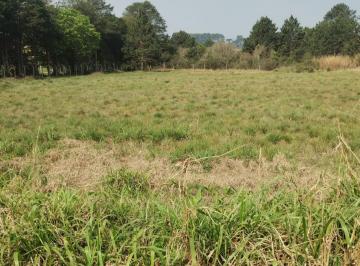 Terreno , Piraquara · Vende se Terreno - Piraquara - Granjas Eldorado - 4.000m²