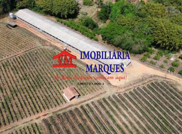 Rural · 27000m² · 2 Quartos · Sítio Granja e Uvas - Itatiba/SP/BR (Hel. F.)