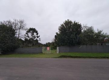 Foto 01 · Terreno, Vila Clementina, Mafra, SC