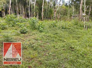 Terreno · 2000m² · 2.000M2 TERRENO  80% PLANO E DESMATADO  EM JUQUITIBA/SP