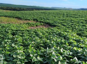 20240602085828798985.jpg · Fazenda para Venda em Rosário do Sul, Rural