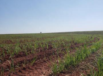 Foto 01 · Fazenda à venda em Nova Granada-SP, Zona Rural: 1 quarto, 1 banheiro, 1.718.200,00 m² de área. Venha