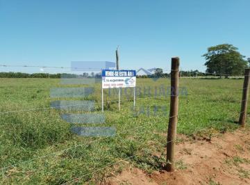 Foto 01 · Chacara, Micali Sta Vinicius de Moraes, Taquaritinga, SP