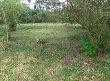 07 · Terreno de 3575m² no bairro Morro Das Pedras