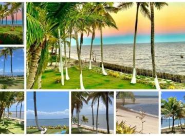 sitio-com-4-quartos-8000m-a-venda-em-igrapiuna-44-12115017.jpeg · SÍTIO COM 8.000 M² EM IGRAPIUNA-BAHIA