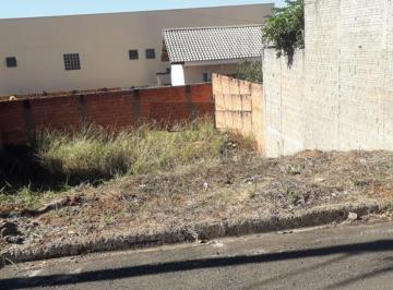 Foto 01 · Terreno, Miguel Afonso, Jacarezinho, PR