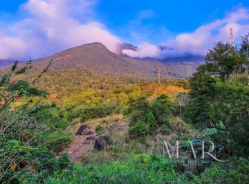 Terreno , Ilhabela · Terreno Estábulo