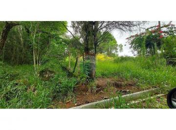 Terreno · 6000m² · EXCELENTE TERRENO COM 6.000 M²