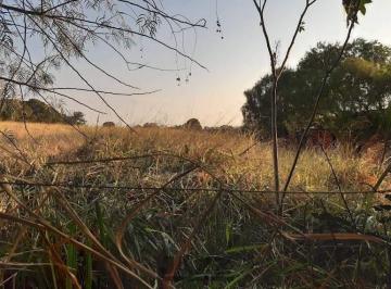 Terreno · 2700m² · Terreno à Venda - Betel, Paulínia - 2.700m2