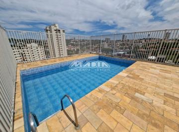 0 · apartamento para aluguel em Jardim Bela Vista
