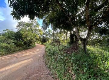 Terreno , Itacaré · Área - terreno na estrada principal da praia de Jeribucaçu, Itacaré, BA