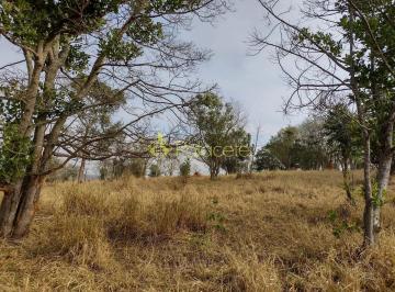 terreno-a-venda-20540m-barreiro-taubate-sp1716911945765nbisi.jpg · Terreno à venda 20540M², Barreiro, Taubaté - SP