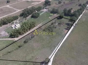 terreno-a-venda-12500m-centro-tremembe-sp1716916436143gvvvi.jpg · Terreno à venda 12500M², Centro, Tremembé - SP