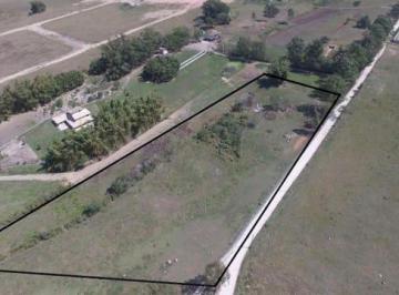terreno-a-venda-12500m-centro-tremembe-sp1716916436143gvvvi.jpg · Terreno à venda 12500M², Centro, Tremembé - SP