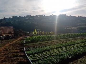 terreno-a-venda-2-quartos-1-vaga-15000m-sao-goncalo-taubate-sp1716916929300xmrjc.jpg · Terreno à venda 2 Quartos, 1 Vaga, 15000M², São Gonçalo, Taubaté - SP