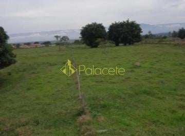 terreno-a-venda-12000m-centro-roseira-sp1716916625396hgryg.jpg · Terreno à venda 12000M², Centro, Roseira - SP