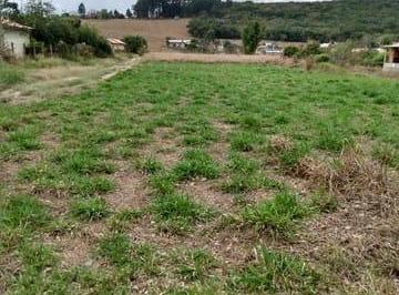 terreno-a-venda-1000m-granjas-rurais-reunidas-sao-judas-tadeu-taubate-sp1716911547105eiuwy.jpg · Terreno à venda 1000M², Granjas Rurais Reunidas São Judas Tadeu, Taubaté - SP