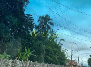 terreno-a-venda-5000m-jardim-campo-alegre-pindamonhangaba-sp1716915571846wkhfw.jpg · Terreno à venda 5000M², Jardim Campo Alegre, Pindamonhangaba - SP