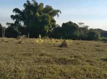 chacara-a-venda-4774m-zona-rural-roseira-sp1716911896946flgsi.jpg · Chácara à venda 4774M², Zona Rural, Roseira - SP