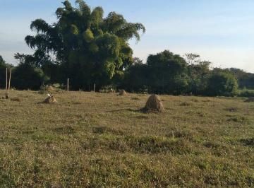 chacara-a-venda-4774m-zona-rural-roseira-sp1716911896946flgsi.jpg · Chácara à venda 4774M², Zona Rural, Roseira - SP