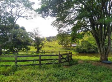 chacara-a-venda-170000m-bom-sucesso-pindamonhangaba-sp1716911509471gblak.jpg · Chácara à venda 170000M², Bom Sucesso, Pindamonhangaba - SP